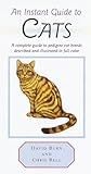 An Instant Guide to Cats (Instant Guides)