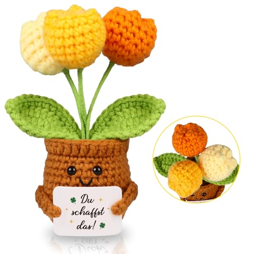 WenmthG Mutmacher Geschenk Gestrickte Tulpenpuppe Blumenpuppe für Kollege Freund Kleiner Glücksbringer Prüfung, Gute Besserung Geschenke, Ermutigung Geschenke Positive Kartoffel Deutsch Ersatz
