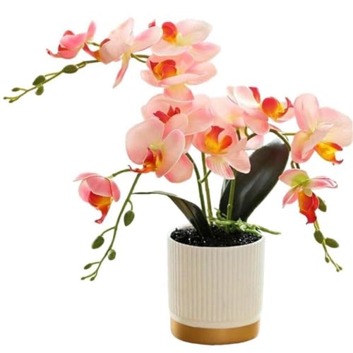  tFCNO[ ԕrt Ӓ ̉ lH~ Aؔ ϗtA 肨bsv ͂Ȃ G CeA ItBX z[fR[V 33cm