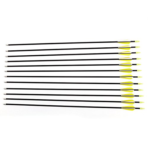 Surepromise 12 Targeting Arrows,Fibreglass Archery Arrows Field Hunting Target Broadhead Tips (Length: 32 inches)