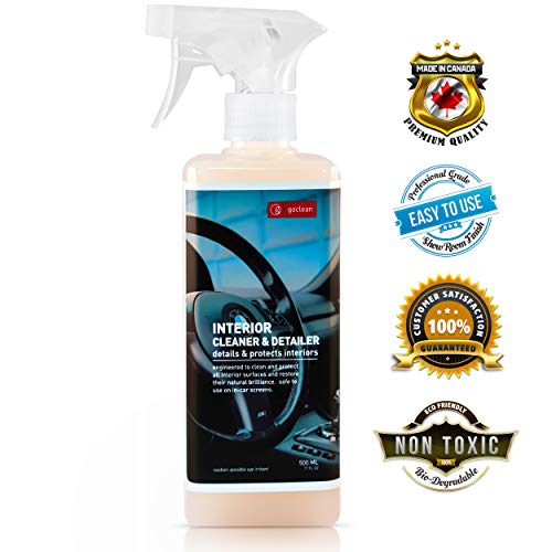 10 Best Carpet Cleaner Canada in 2023 (June update)