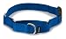 PetSafe Martingale Dog Collar with Quick-Snap Buckle - Medium, 1 Inch, Royal Blue