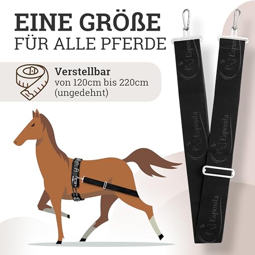 Esposita elastische Longierhilfe Pferd Pony Körperband Pferde Bodenarbeit Zubehör Longier Set Körperbandage Longiersystem Trainingssystem