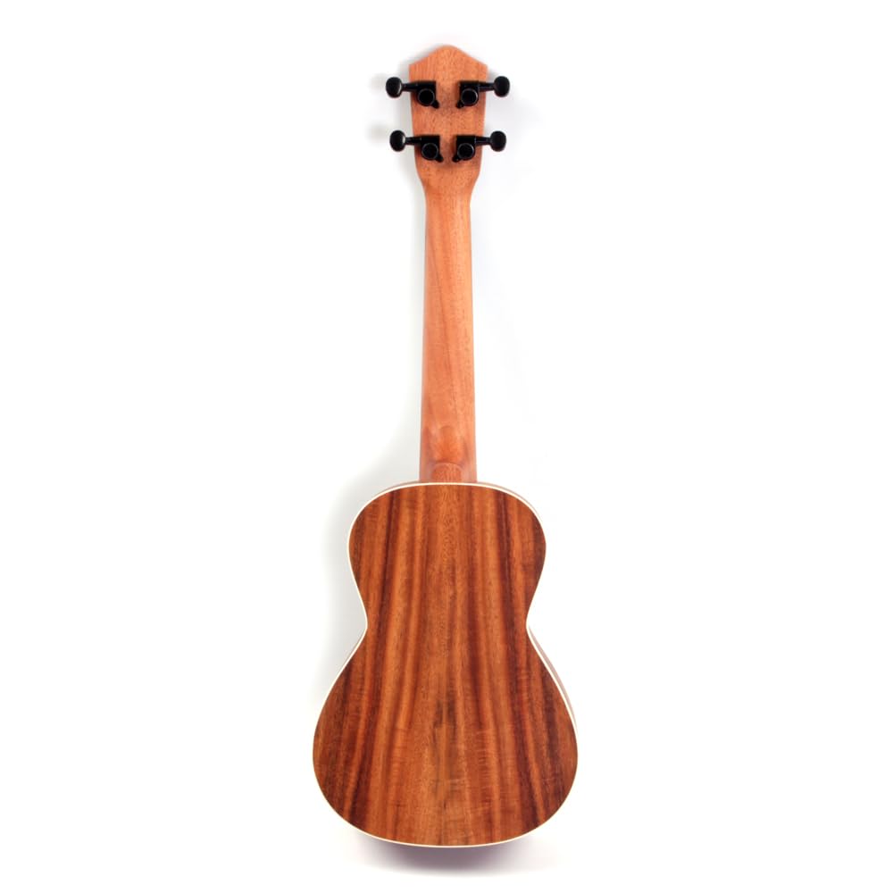Weller Konzert Ukulele Koa Body und Decke Mahagoni Hals 378mm Mensur