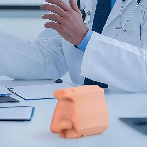 Modelo anatómico de nariz para entender las estructuras internas en escuelas de salud 2