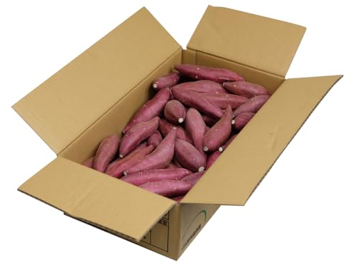 󂠂Eƒp F{YiJAhj܂ VNXC[g B 2STCY 5kgi70{Oj