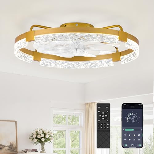 Image of LEDIARY 24 inch Low Profile Ceiling Fans with Lights, APP & Remote, Gold