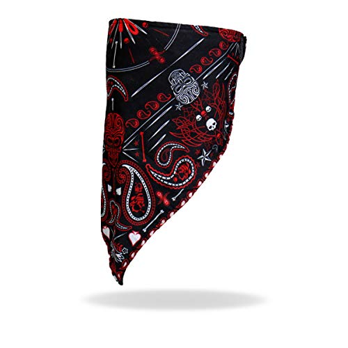 Hot Leathers Unisex-Adult Paisley Face Wrap (Multicolor, One Size)