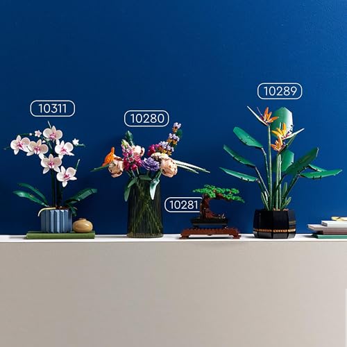 LEGO Botanicals L’Orchidée - Plantes ou Fleurs Artificielles d'Intérieur pour Décoration de Maison - Loisirs Créatifs pour Adulte - Idée Cadeau pour Femme ou Homme 10311