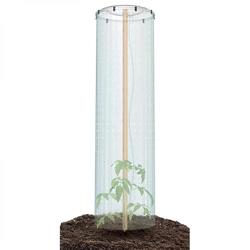 Tomatenhaube Birnepower Schutzfolie für Tomatenpflanzen