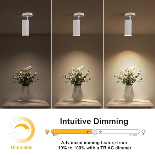 Image of 9W LED Dimmable Ceiling Spotlight Indoor - Adjustable Surface Mount Accent Fixture for Corridor, Living Room, Plants & Artwork | Warm White 3000K CRI 97 Directional Spot Light, White Finish