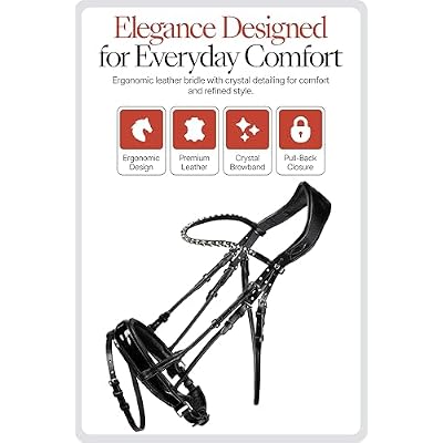 HORZE Clermont Ergonomic Padded Genuine Leather Snaffle Bridle for Horses | Flash Noseband Included - Black - Horse