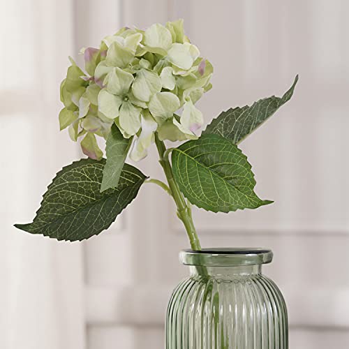 PURE HOME + LIVING Green Hydrangea Spray (Made of Polyester) for Home, Office and Living Room Decorations (Without Vase)(Height-48 cm) Pack of 1