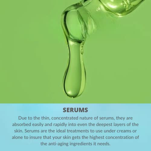 Serious Skincare Absolutes Wrinkle Rebel Anti-Aging Facial Serum - Vitamins C + E - Bakuchiol Extract - Stimulate Collagen & Elastin Production 1 Oz. (1Pack) #TOP2