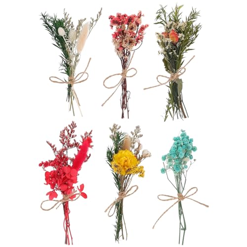 Mini Bouquet de Flores Secas Naturales 6pcs miniatura 1