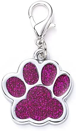 SR VISION Pet ID Tags - 1 Piece Beautiful Alloy Personalized Pet Pendant Dog/Cat Neck Charm for DIY Necklace Making | Best Gift for Your Pets (Design 3) - Color As Per Available (B0BW96YKJF) Amazon Price History, Amazon Price Tracker