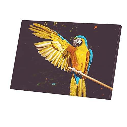Tableau perroquet jaune et bleu toile imprimée exotique 45x30cm