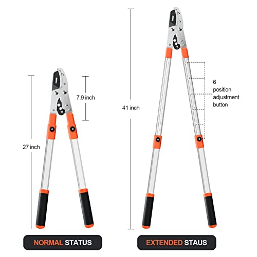 Ébrancheur extensible Thanos pour tailler les branches hautes sans échelle - 5