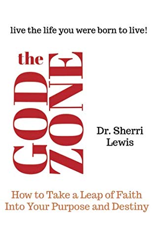 The God Zone: How to Take a Leap of Faith Into Your Purpose and Destiny