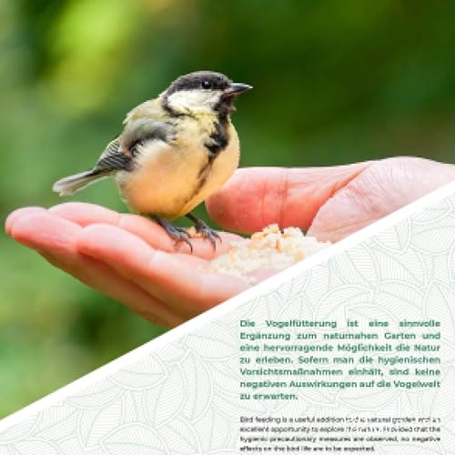 WILDLIFE FRIEND 20 cm Vogelfutterspender - Körnerfutterstation aus Kunststoff mit Zwei Anflugplätzen - Futtersäule zum Aufhängen für Wildvögel - Futterhaus für Ganzjährige Verwendung - Grün