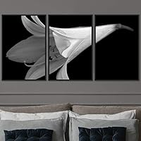 3 Piece Framed Canvas Wall Art Black and White Botanical Canvas Prints Home Artwork Decoration for Living Room,Bedroom - 16
