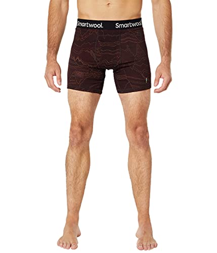 Image of Smartwool Merino 150 Print Boxer Brief