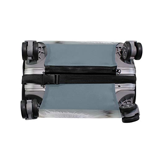 Ajinga Snow Leopard Travel Luggage Protector Suitcase Cover S 18-20 In #TOP2