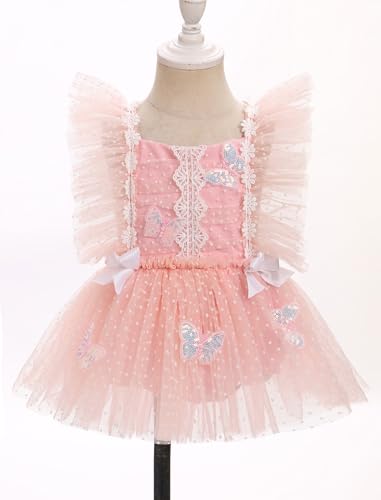 AWIBMK Baby Girl 1st Birthday Outfit Cake Smash Ruffle Sleeve V-Back Embroidery Flower Boho Lace Tulle Tutu Romper Dress2