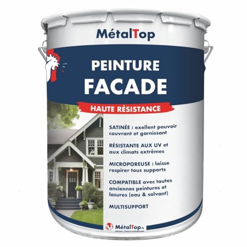 Metaltop - Peinture Facade - Ivoire - Ton pierre - RAL 1015-1 L - Microporeuse, idéale pour murs extérieurs en rénovation ou neuf