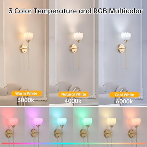 Image of Shenmoyl Battery Operated Wall Sconce Set of 2, White Tulip Vintage Wall Light Fixture Rechargeable 5000mAh Battery Powered Wall Lamp with Remote for Living Room Bathroom