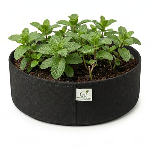 Image of 400 GSM Geo Fabric Round Grow Bags 12x6 Inch, Black Planting Bags for Terrace and Kitchen Gardening Pack of 1