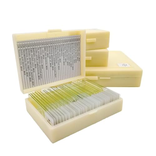 30PCS Set Cell Biology and Genetics Human and Animal Microscope Prepared Slides