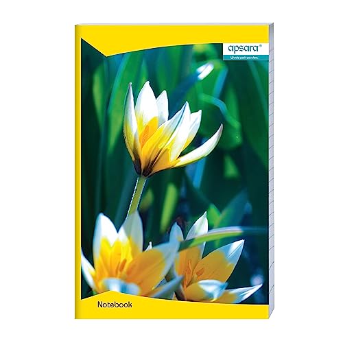 Image of Apsara Mahabar(foolscap) Longbook | 33 CM x 21 CM Approx - Pages 104 | Single Line Notebook | GSM 56 |Use For School,College Student & Professionals | Covers May Differ | Pack of 12 Books