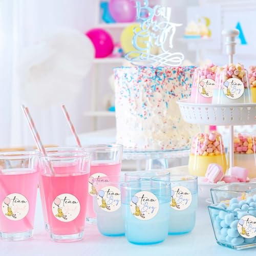 72PCS Winnie Gender Reveal Stickers, Winnie Baby Shower Decoration, Gender Reveal Decor, The Pooh Sticker, Team Boy Or Girl Stickers, Games for Voting Game by ZsaTuiy - Used condition - Image 4