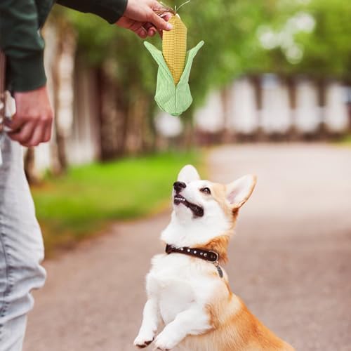 Generisch Quietschende Hundespielzeuge,Plüsch-Kauspielzeug Maiskolben Für Hunde - Knisterndes Beißfestes Spielzeug Zur Haustierunterhaltung Drinnen & Draußen