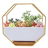 Macetas Colgantes Pared Modernas,Maceta Geométrica Colgante Pared,Macetas Decorativo Geométrico Colgante, para Sala de Estar,Balcón,Jardín Montaje de Pared Macetero Plantador con Orificio de Drenaje