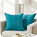 Topfinel Lot de 2 Housse de Coussin 40x40cm Décoratif Canapé en Chenille Housses Coussin Decoration Chambre Carré Couleur Uni pour Chaise,Voiture,Bureau, Turquoise