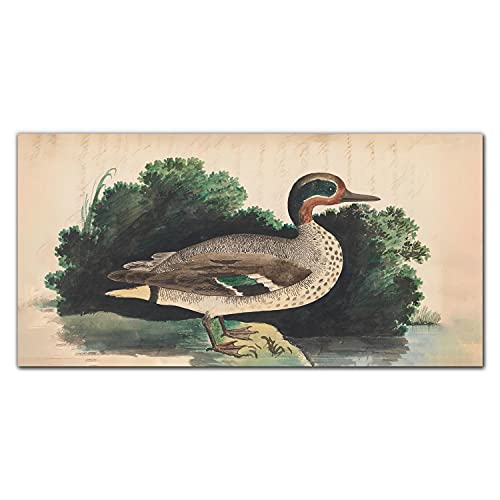 Crédence de cuisine adhésive oiseaux pour décorer et protéger le mur du plan de travail - 2