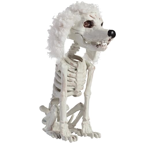 Halloween Poodle Dog Skeleton Decoration- 10" Plastic Animal Bones Prop w Posable Joints for Party Table Decor, Haunted Houses, Graveyards- Spooky Sitting Puppy Statue with Furry Ears & Moving Limbs Halloween Poodle Dog Skeleton Decoration- 10" Plastic Animal Bones Prop w Posable Joints for Party Table Decor, Haunted Houses, Graveyards- Spooky Sitting Puppy Statue with Furry Ears & Moving Limbs