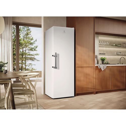 ELECTROLUX LRS3DE39W, FRIGO MONOPORTA, Classe E - 7
