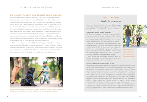 Der Welpen-Alltags-Helfer: Erziehung, Training und Probleme souverän meistern - stressfrei durch die erste Zeit mit jungem Hund (GU Welpen)