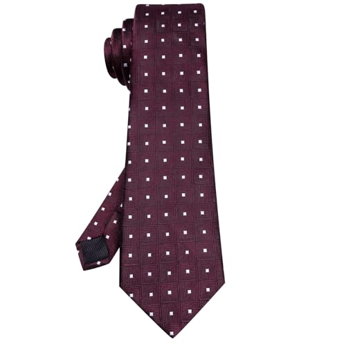 Image of Hi-Tie 63 inches Striped Paisley Extra Long Ties for Men Silk Necktie with Lapel Pin Tie Clip Big and Tall Men Formal Wedding