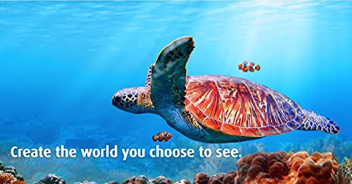 Burnicare Organics Herbal Vegan Antioxidant Serum, 1 Ounce, 14 Non Gmo Organic Ingredient, Natural Moisturizer, Anti Aging, Skin Firming Facial Serum, Eye Bags, Puffiness, Dark Circles, Neck, Face Oil #TOP5