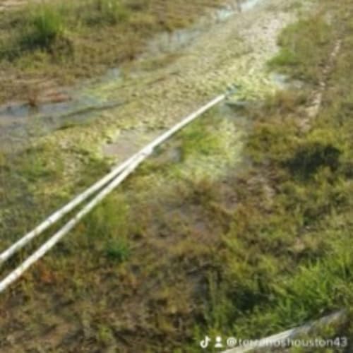 Colony Ridge Known as Terrenos Houston sends the Cartel to stalk and follow for being a whistleblower.