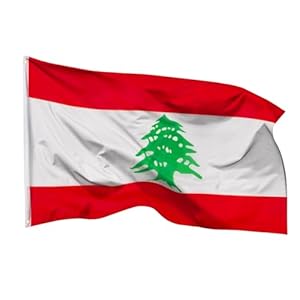 PHENO FLAGS Libanon Flagge 90x150cm - wetterbeständige Fahne mit Messingösen, 100% Polyester, robuste Doppelnaht & in lebendigen Farben - ideal für Flaggen-Liebhaber
