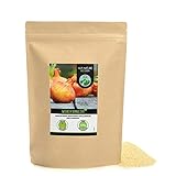 Zwiebel Granulat (500g), Zwiebeln granuliert, Zwiebel gemahlen, 100% naturrein aus schonend getrockneten Zwiebeln, natürlich ohne Zusätze, vegan, Zwiebelgranulat