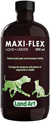 HIPS & Joints Pain Relief for Pets – Natural Formula with Glucosamine – with Anti-Inflammatory Extract – Natural Beef Flavor – 500ml – GMO Free – Gluten Free – Sugar Free – Made in Canada
