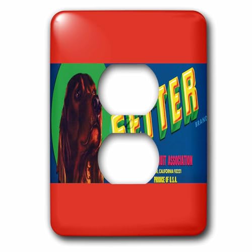 Interruptor Irish Setter 3dRose lsp_171139_6 de una toma 2