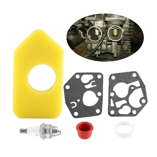 Filtre et membrane de carburateur 495770 pour un jardin parfait