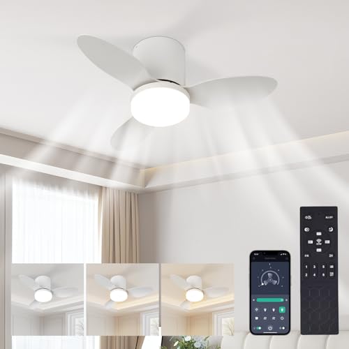 HaoDrisk Ventilador de Techo con Luz 65cm - Ventilador Silencioso LED Regulable con App&Mando a Distancia 3 color&6 Velocidades con Temporizador Motor Silencioso Rreversible